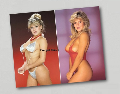 Fridge magnet sam fox glamour - fridge,