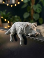 Sleeping Border Collie Monitor