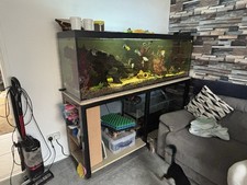 6ft Nd Aquatics Marine Aquarium
