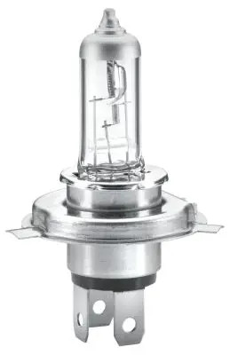 Bulb p43t 8gj - bulb, p43t-38