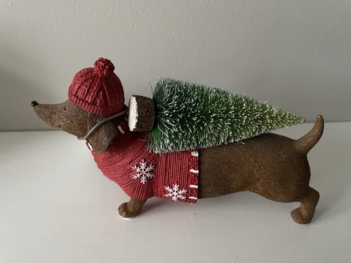 Next sausage dog - sausage, (dachshund)