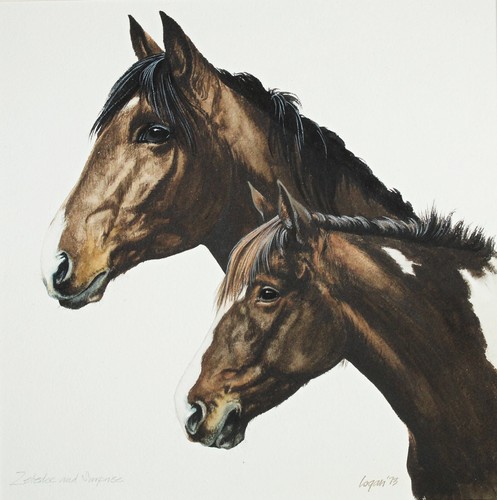 Terry logan framed - logan, (b.1939)