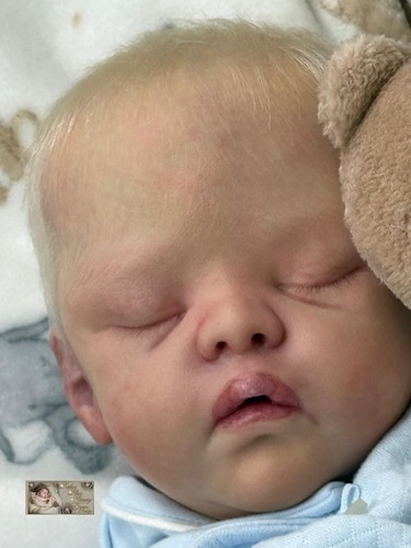 Pbn etheridge reborn baby - y.,