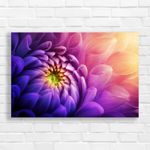 Vibrant chrysanthemum flower - vibrant,