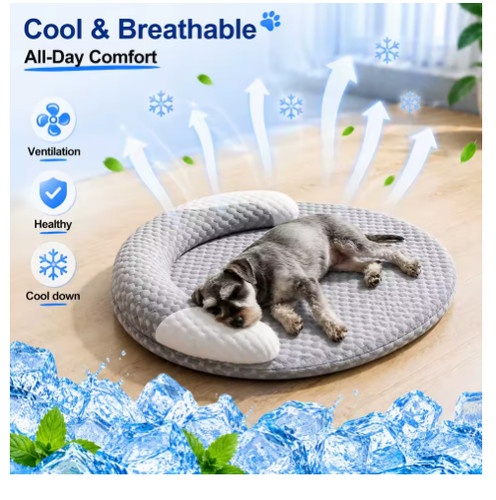 New pet cooling - cooling, bed
