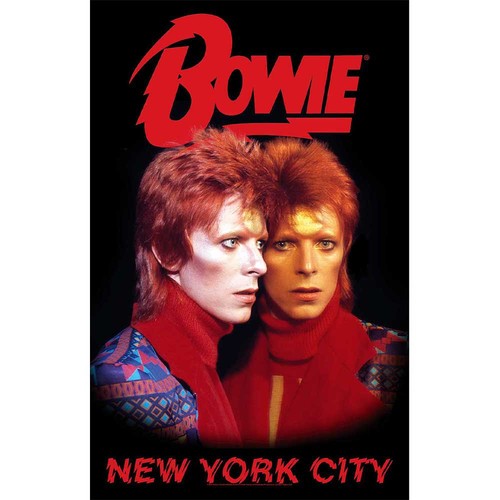 David bowie poster new - david, york