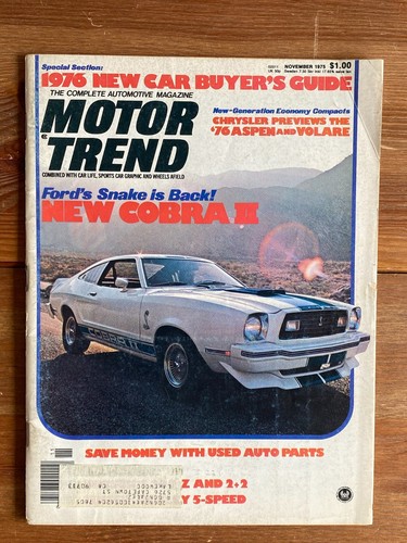 1976 new car buyer - 1976, guide
