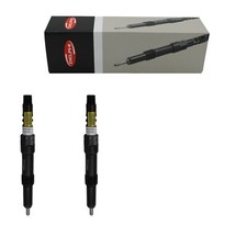 Reman Delphi Injector