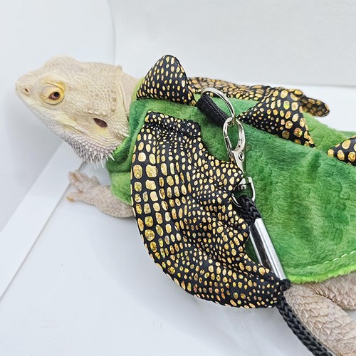 Bearded dragon reptile harness - bearded,