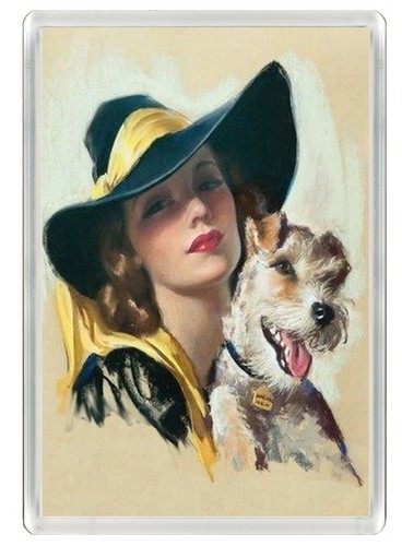 Wire fox terrier elegant - elegant, lady