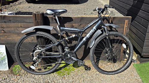 Raleigh mountain bike 26in - raleigh,