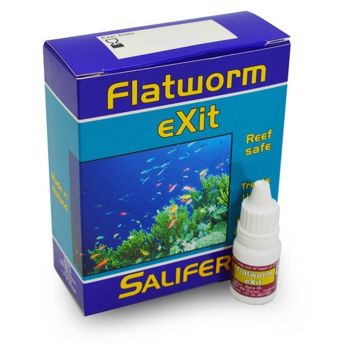 Salifert flatworm exit reef - flatworm,