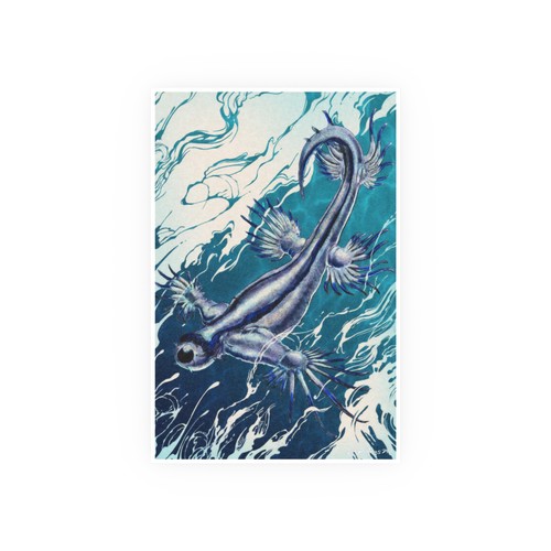 Blue sea slug illustration - sea,