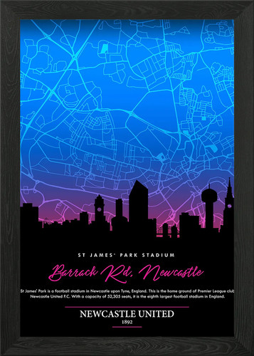 Newcastle united framed - newcastle, wall