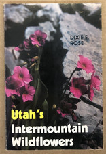 Utah's Intermountain