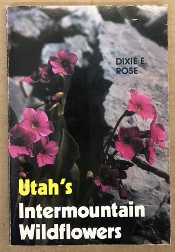 Utah intermountain - utah's,