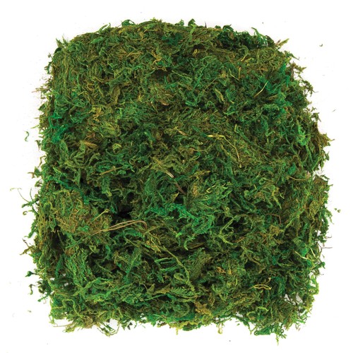Natural 100g dried craft - natural,