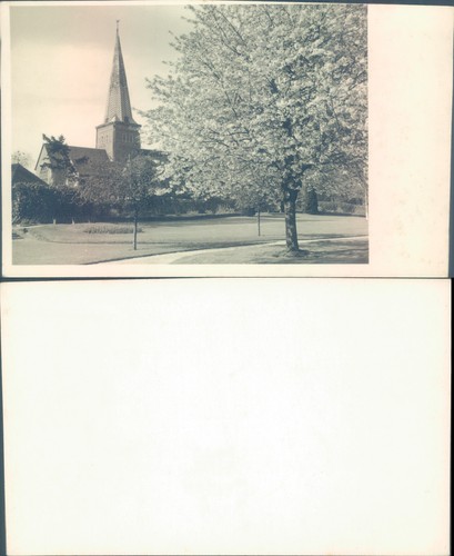 Church and tree landscape