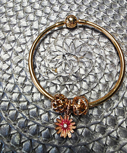 Pandora rose moments bangle - pandora,