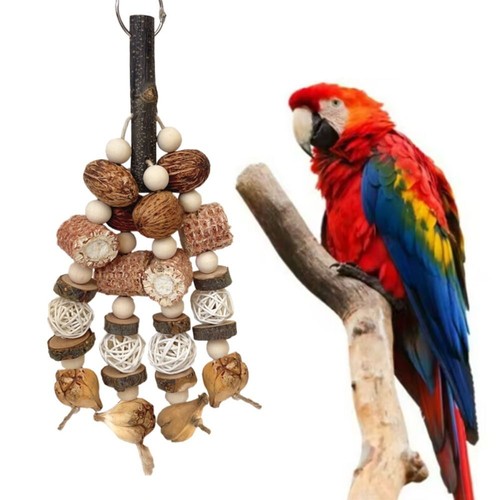 Bird toys with - with, nuts