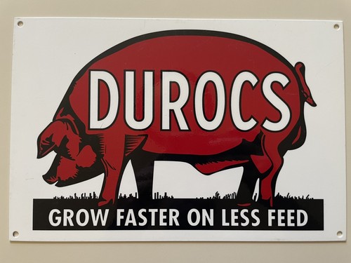 Vintage durocs pig feed - vintage,