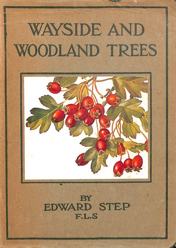 Wayside and woodland trees - wayside,