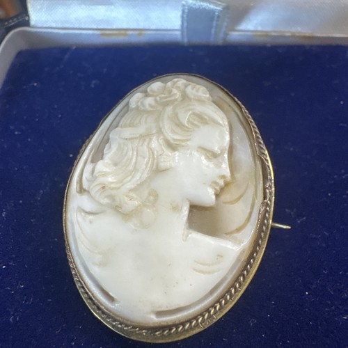 Antique cameo brooch - antique,