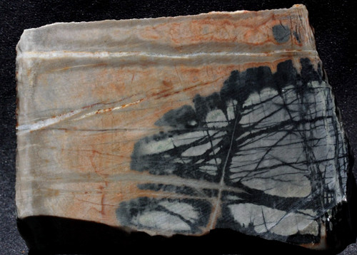 S846 6 5oz - , ~