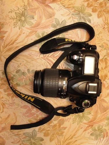 Nikon d50 camera untested - d50, "untested"