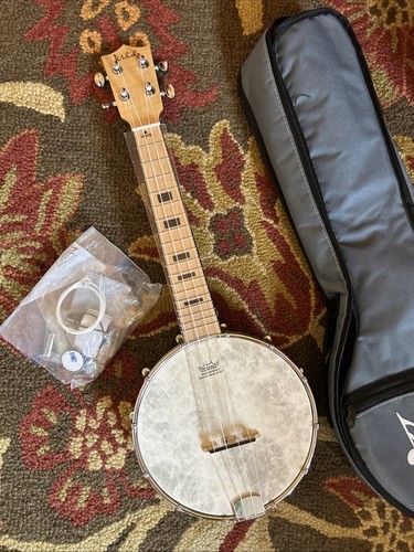 Vintage mulucky banjo - vintage,