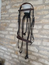 brown  Bridle With Flash