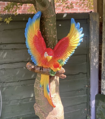 Large scarlet macaw tree - scarlet,
