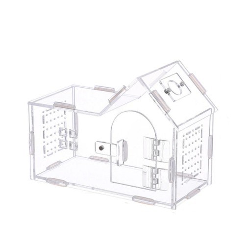 Clear acrylic amphibian house - acrylic,