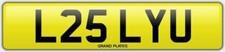 LESLEY U LESLEYS NUMBER PLATE