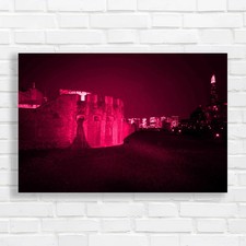 Tower Bridge London Poppies By