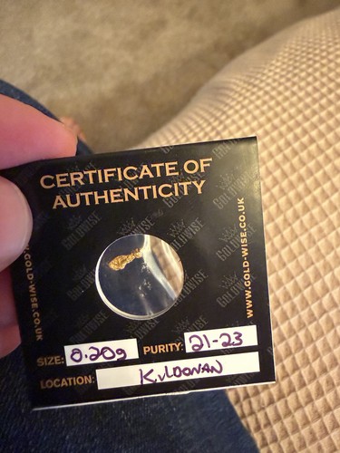 Goldwise set gold - of, 3