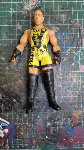Tna rob van dam wrestling - tna,