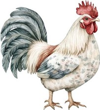 Watercolour Rooster Kitchen