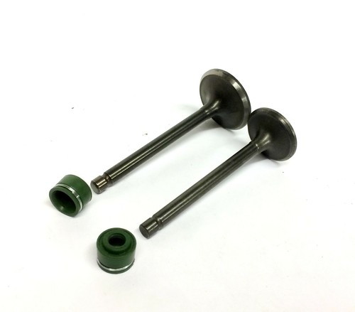 Motorcycle inlet and exhaust - motorcycle,
