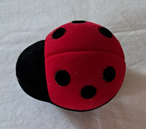 New box ladybird - new, in