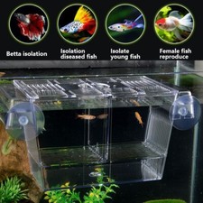 Acrylic  Tank Breeding Box