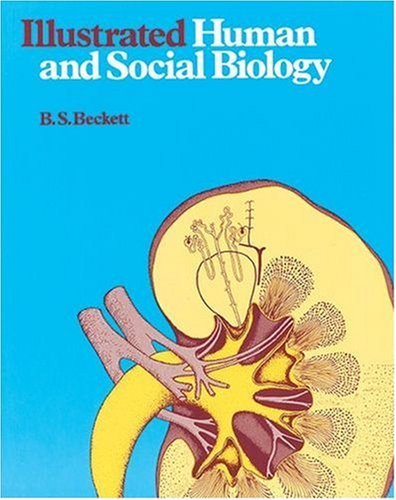 Illustrated human and - human, social