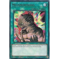 MP25-EN299 Metamorphosis 