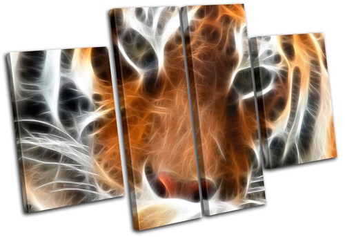 Tiger animal bird wildlife - tiger,