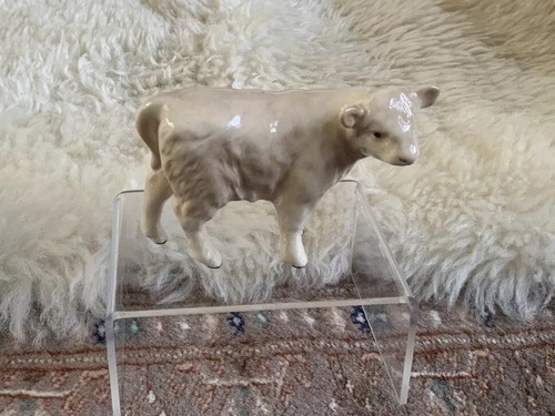 Beautiful beswick charolais - beautiful,