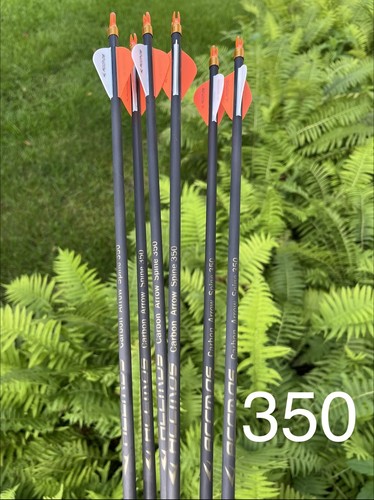 Carbon arrows 350 spine - carbon,