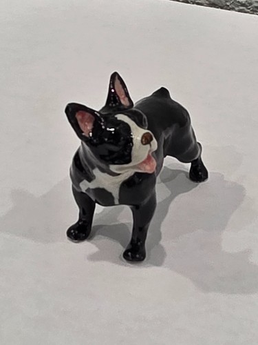 Miniature french bulldog - miniature,