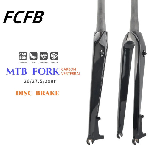 Mountain bike carbon front - bike,