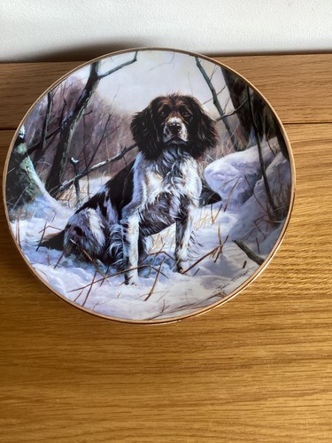 Winter companion danbury - -,