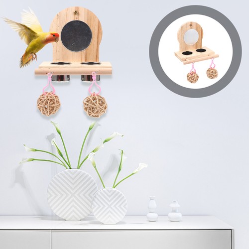 Parrot feed perch bird - parrot,